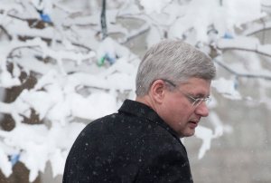 Stephen Harper